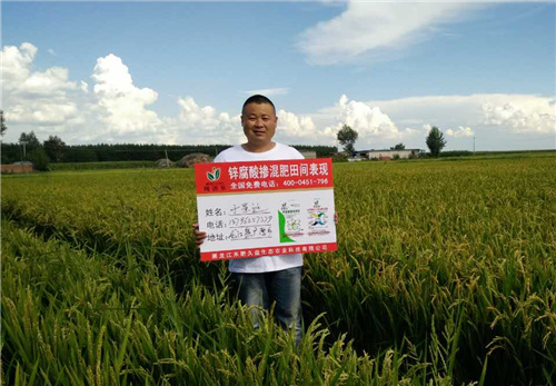 示范田展示 示范田展示